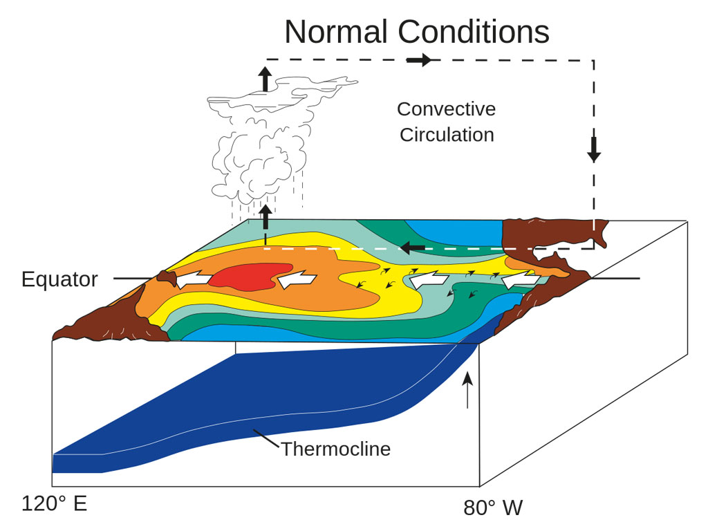 enso el nino cabarete